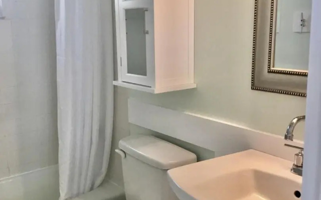 AMI Sand Dollar - 6403 B Holmes