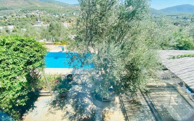 Artistic Villa With Private Pool, Bodrum, Turkey