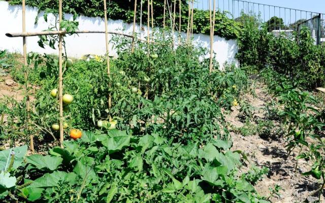 Oeiras 6 - Checkinhome