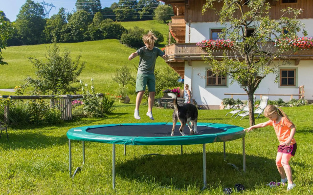 Bio-Bauernhof Niederlehen