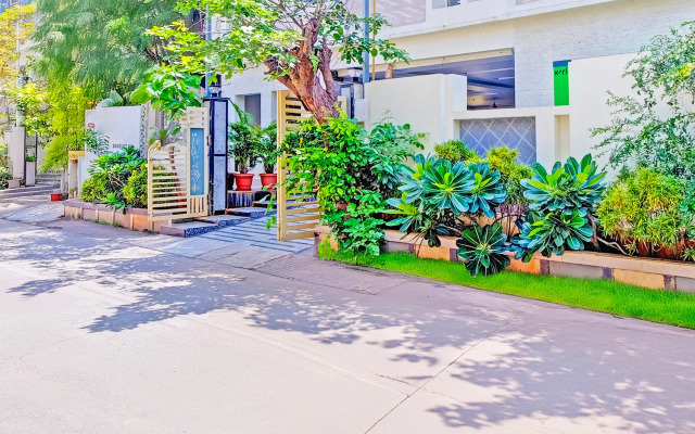 Super Collection O Grand Governorpet