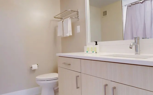 Crystal City Modern Apt w Gym