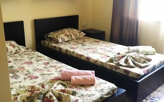 Rodnichok Guest House
