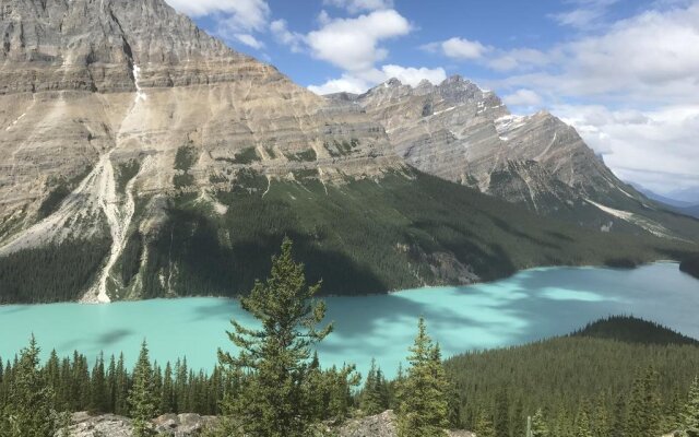 Sleep Eze Accommodations