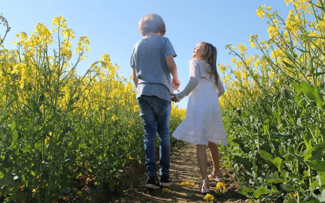Seaside Apartment in Insel Poel With Sauna