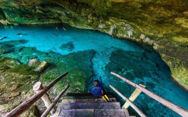 #4 Fabulous Cute Downtown Apartment Daily/Monthly