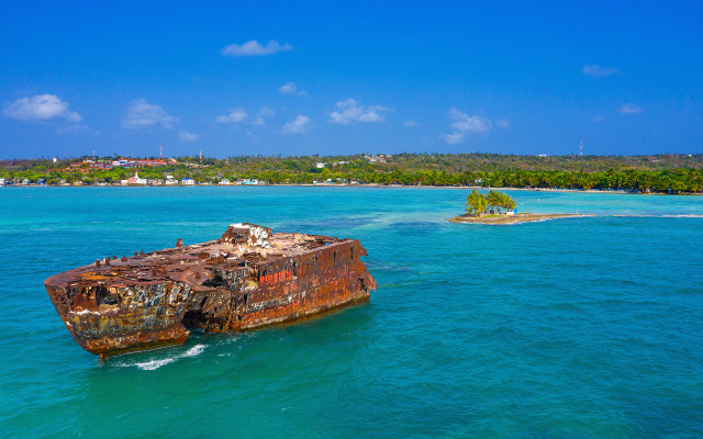 Sol Caribe Sea Flower