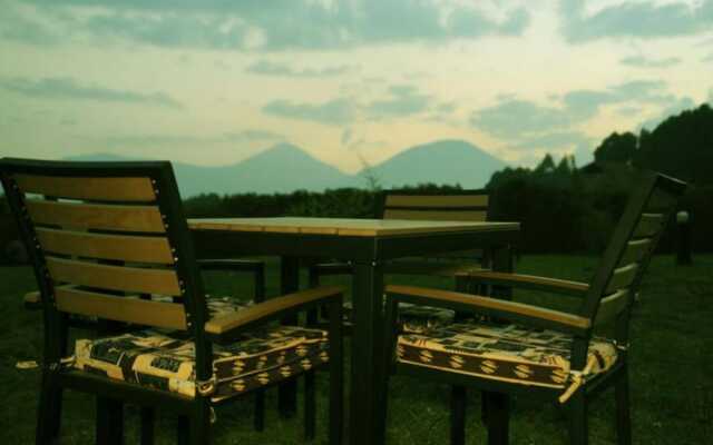 Da Vinci Gorilla Lodge