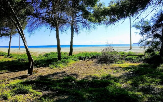 Dream Beach B&B