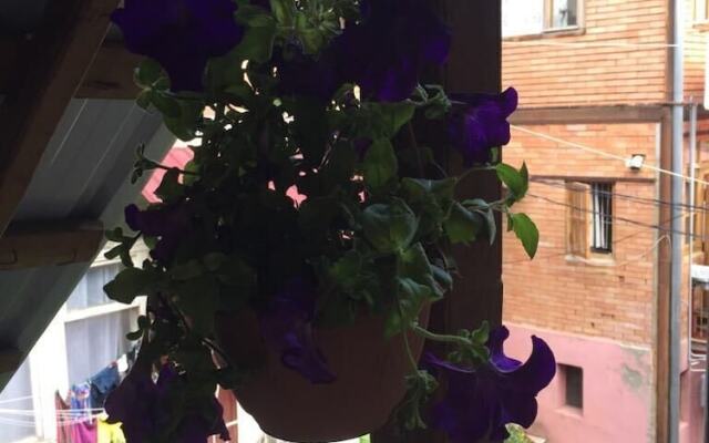 My little house on Kereselidze