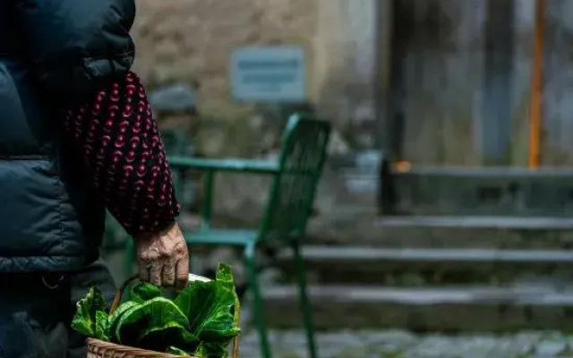 Songyang Taoli Fenfang Homestay