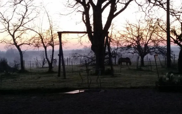 487 Rue des Grappins