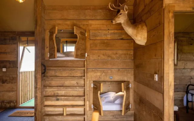 Luxury Safari Lodge Surrounded by Deer!! 'fallow'