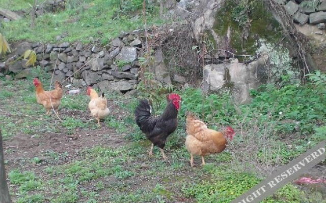 Tianxia Yijia Farmhouse