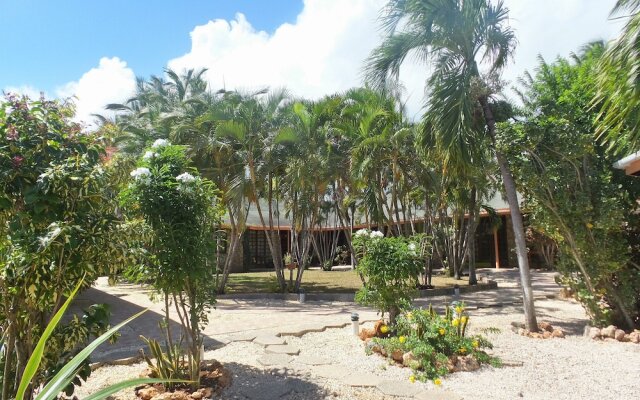 Toucan Inn