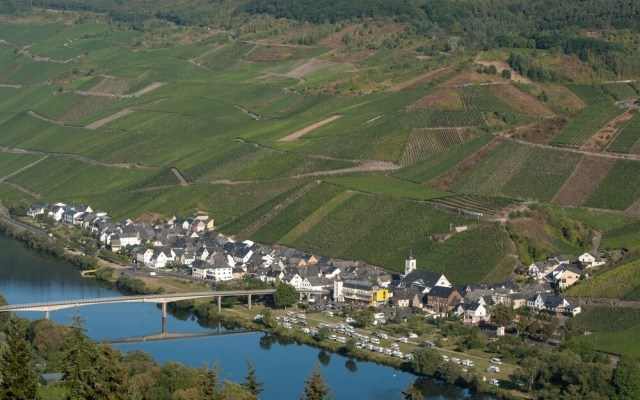 Weingut Rieth - Gästehaus Vinaria