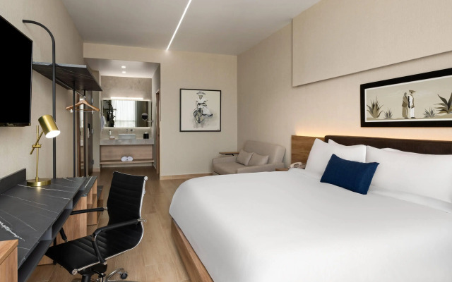 Tryp By Wyndham Ciudad Guzman Uttsa