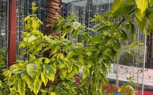 Istanblu Hotel Atasehir