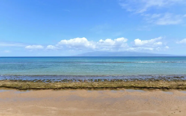 Paki Maui 424