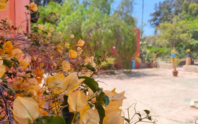 Riad Eucalyptus by Caravanserail