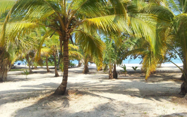Playa Mandala