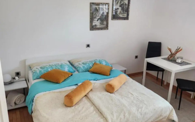 Vila Rajska ptica