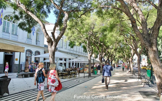 Premium Quiet Apt, Funchal Seafront | Oceanbreeze
