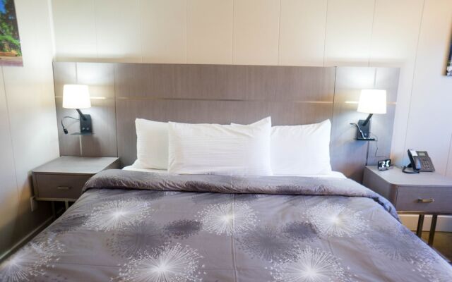 Stay Express Inn Chattanooga