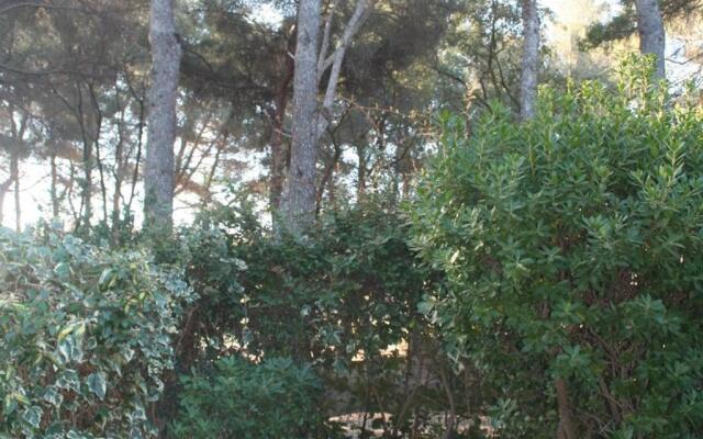 Maison Bormes-les-Mimosas, 1 pièce, 4 personnes - FR-1-610-41