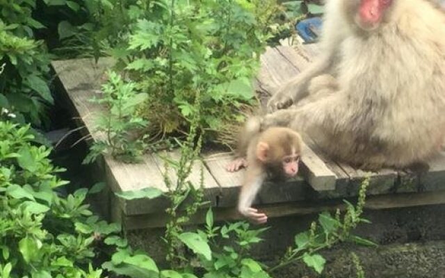 Jigokudani Onsen Korakukan