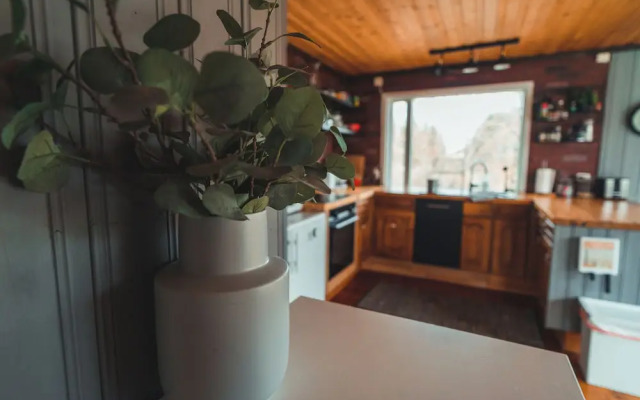 Eyja Mörk & Bubble Bedroom