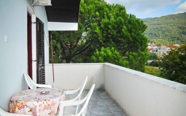 Apartments Stankovic