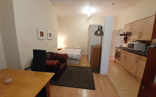 Studio Apartment in South Kensington 12