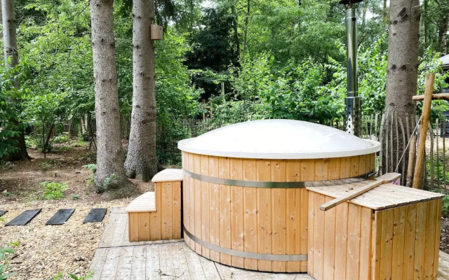 Holiday Home Rheezerveen With Sauna & Hot Tub