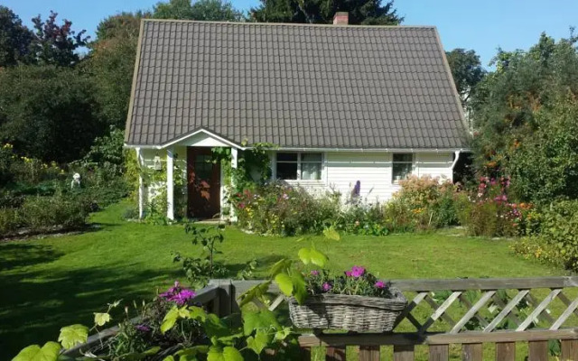 House in the City