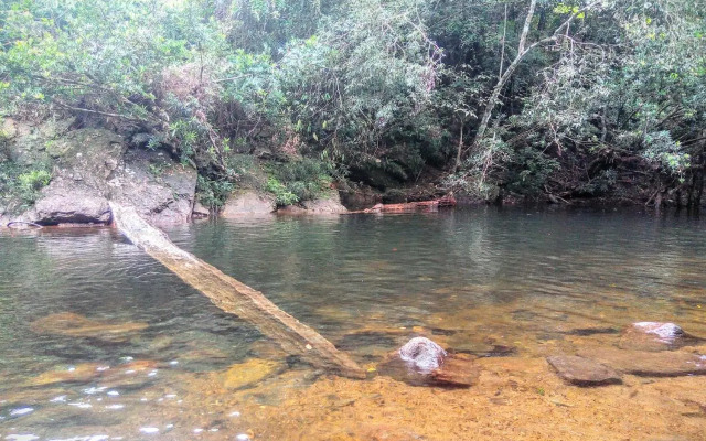 Rainforest Nature House