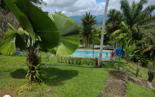 Mirador Osa