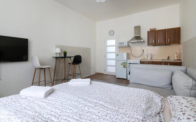 Apartment in the centre of the Prague