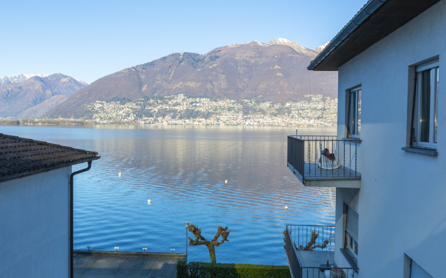 Garden on the lake 2