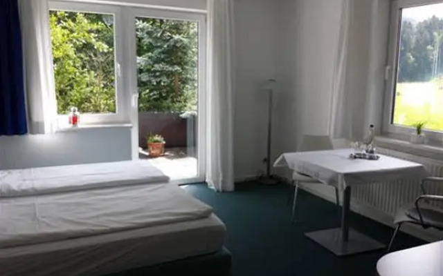 Hotel Kleiner König