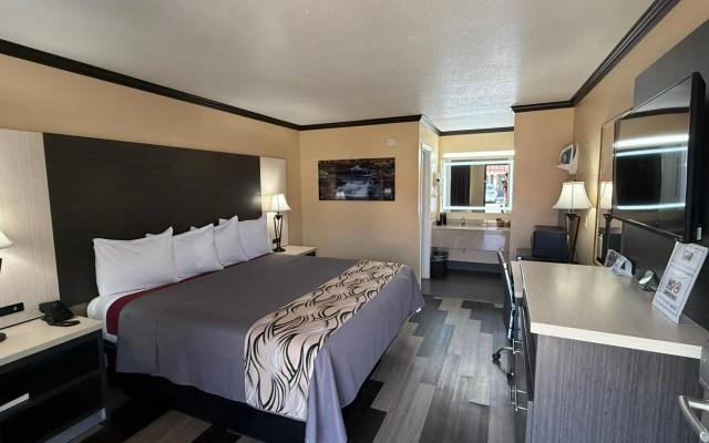Regency 7 Motel
