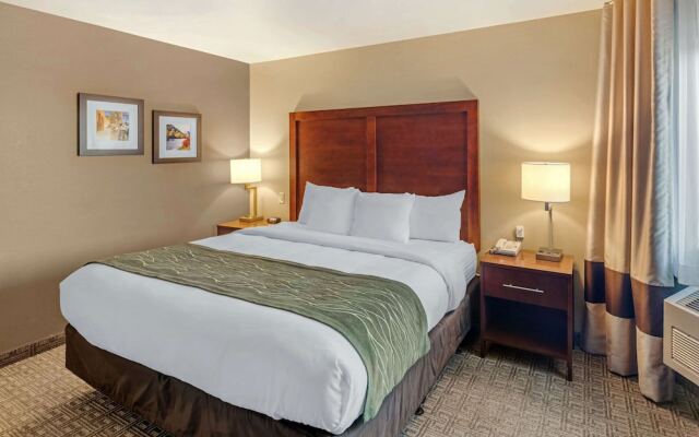 Comfort Inn University