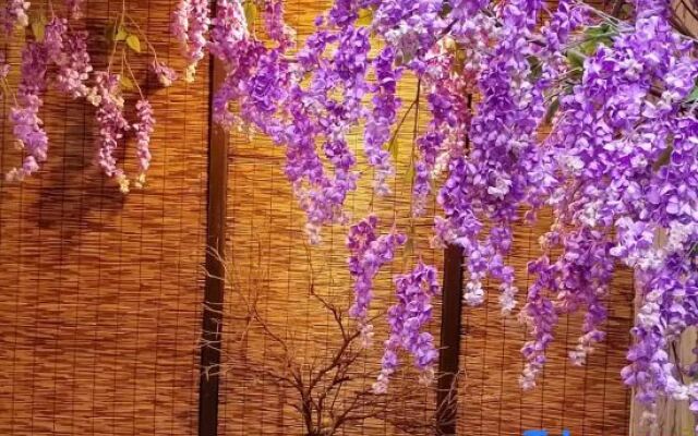 West Lake Time Su Guesthouse
