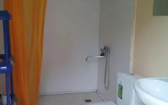 Pod palmoj