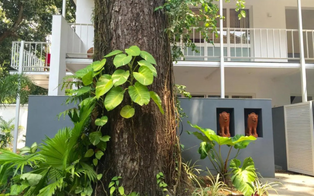 Trinity At Fort Cochin