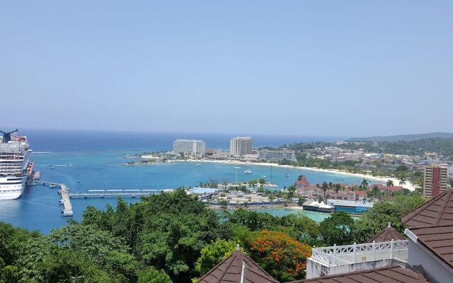 Ocho Rios Getaway Villa at The Palms