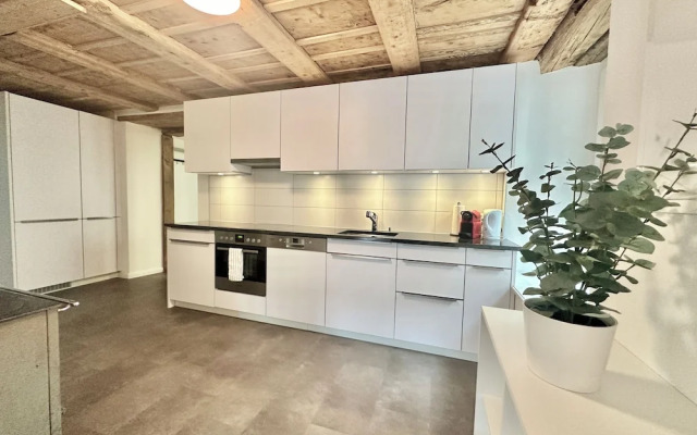 Business Apartment Oberbipp