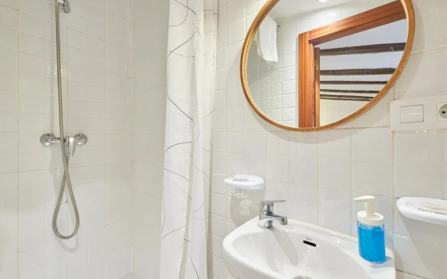 Attic apartment in the historic center