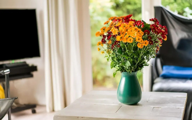 Holiday Home in Stegeren With Pool