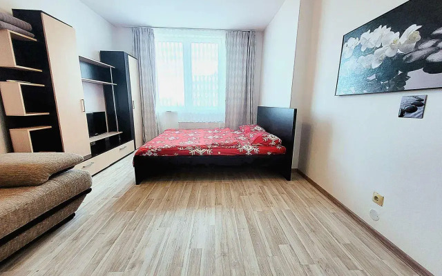 Apartments on 231 Chkalova Street